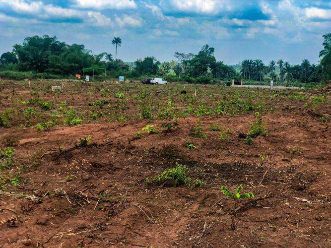 prowess homes and land