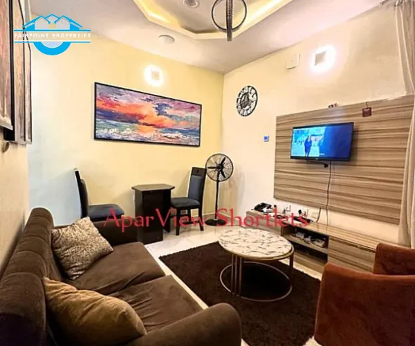 Beautifully furnished and well serviced luxury 1 bedroom shortlet apartment in Surulere 