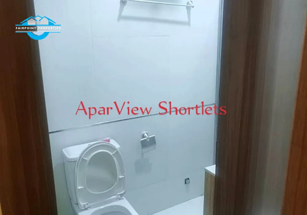Beautifully furnished and well serviced luxury 1 bedroom shortlet apartment in Surulere