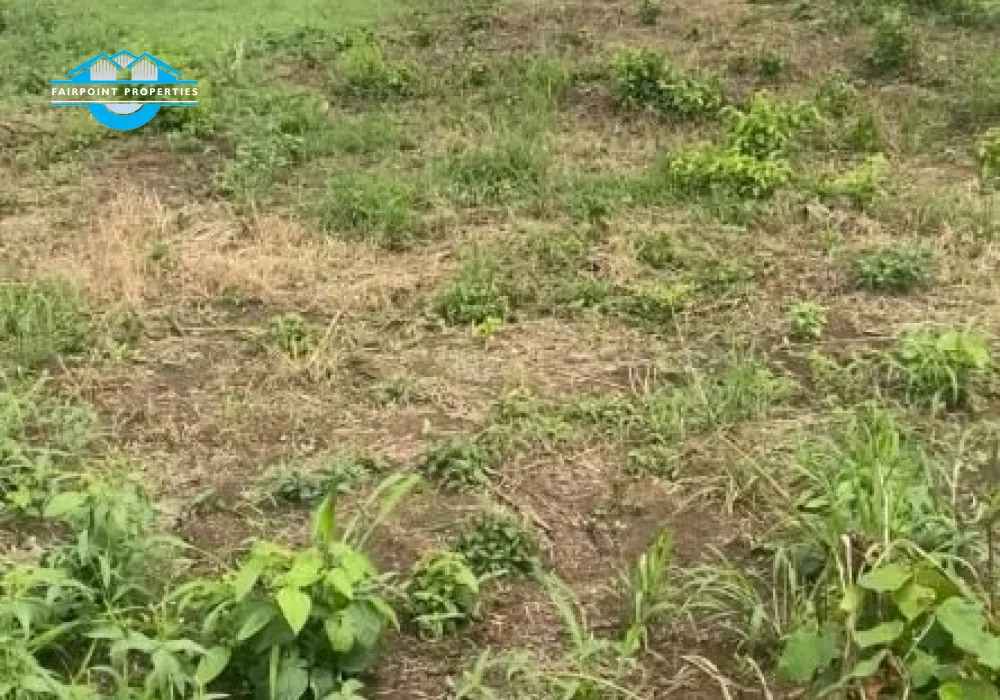 1 and half plot(900sqm) available for sale