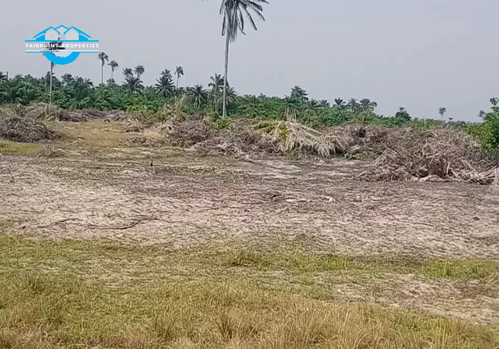 20 Acre of Land