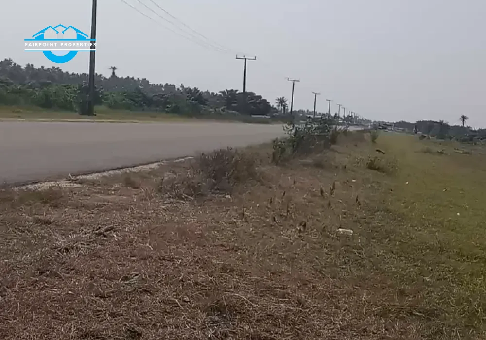 Road view