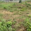 1 and half plot(900sqm) available for sale